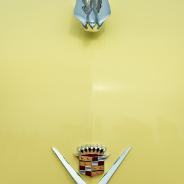 Cadillac by Peter Adams.