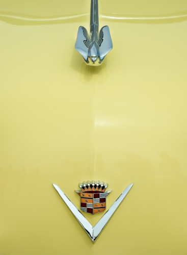 Cadillac by Peter Adams.