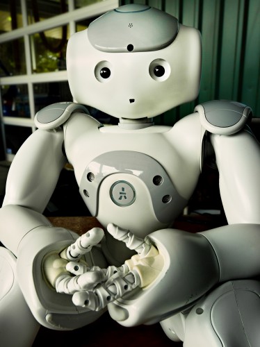 Nao Robot by Peter Adams.