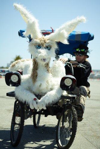 Luck Dragon by Peter Adams.