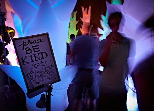 Be Kind To the Forest by Peter Adams.