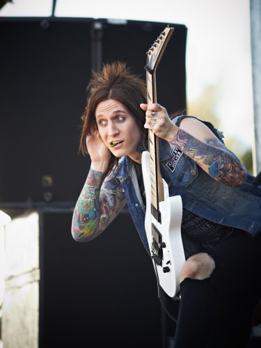 Falling in Reverse by Peter Adams.