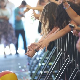 BFD 2012 by Peter Adams.