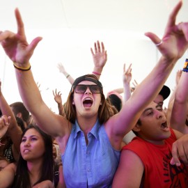 BFD 2012 by Peter Adams.