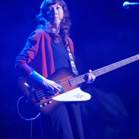 Silversun Pickups by Peter Adams.