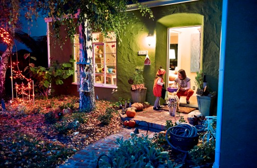 Trick Or Treat by Peter Adams.